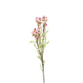 Wax Flower Pink - 80cm