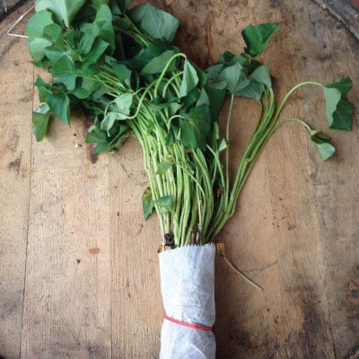 White Yam, Sweet Potatoes Slips