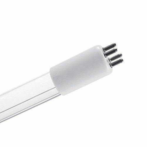 ZP5 Lamp